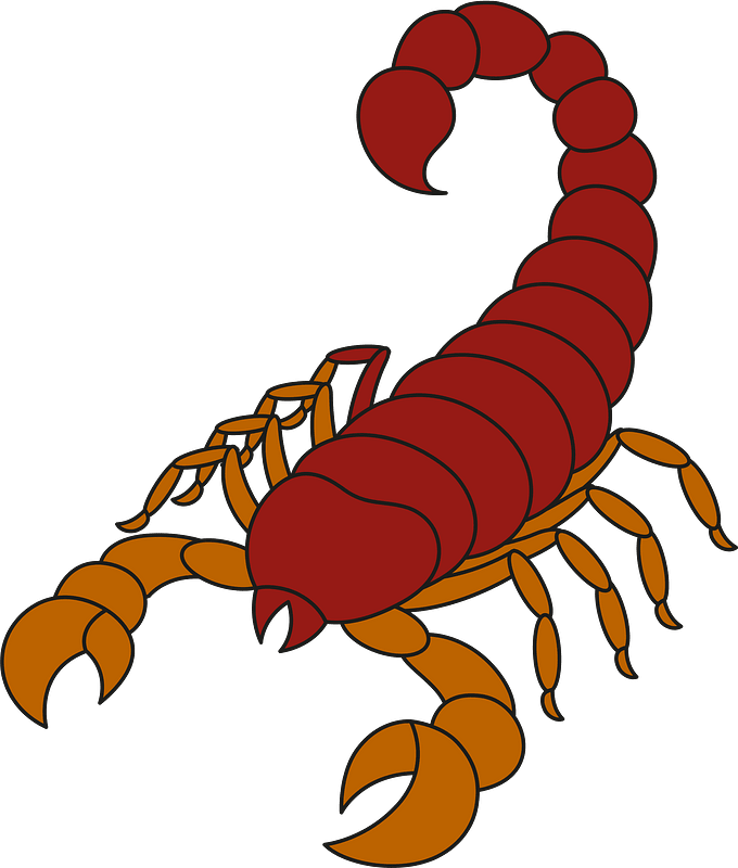 Scorpion clipart. Free download transparent .PNG Creazilla