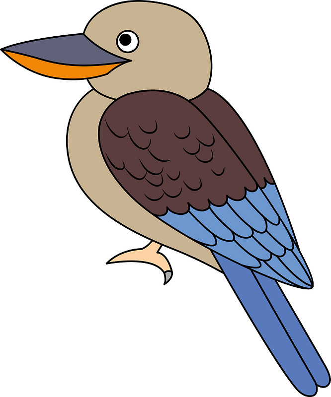 Kookaburra clipart. Free download transparent .PNG | Creazilla