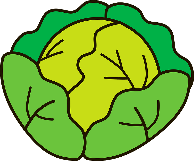 Cabbage clipart. Free download transparent .PNG Creazilla