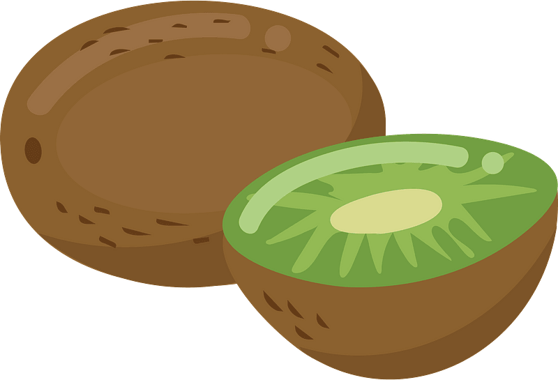 Kiwi clipart