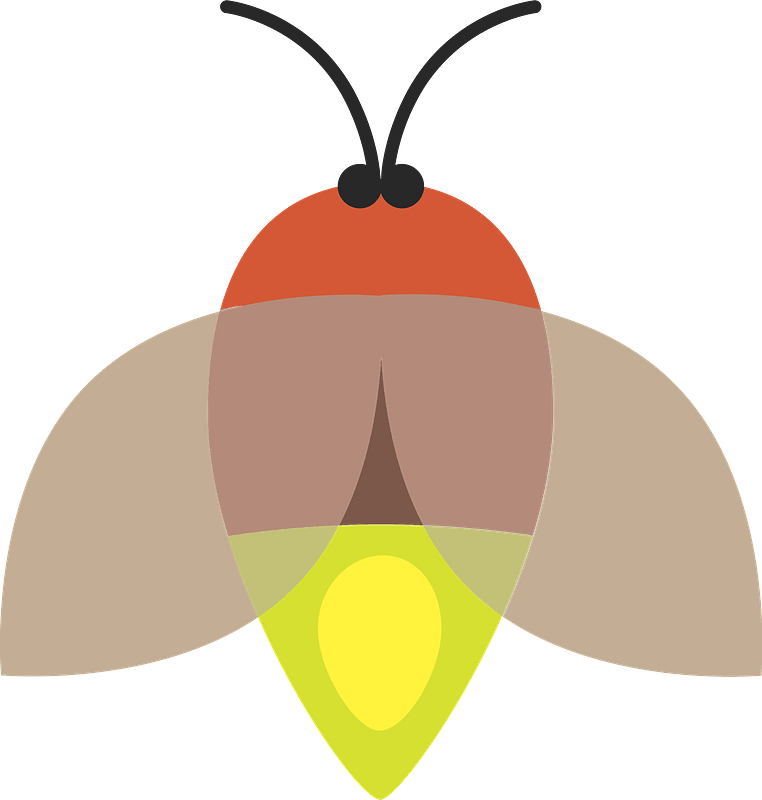 Firefly clipart