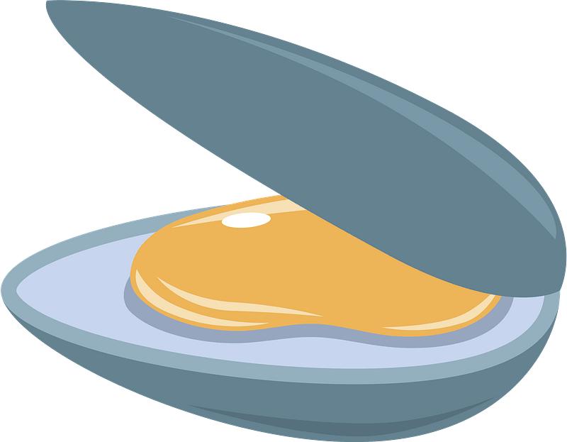 Oyster clipart