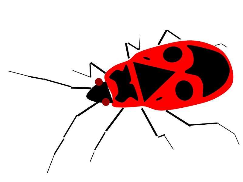 Firebug clipart