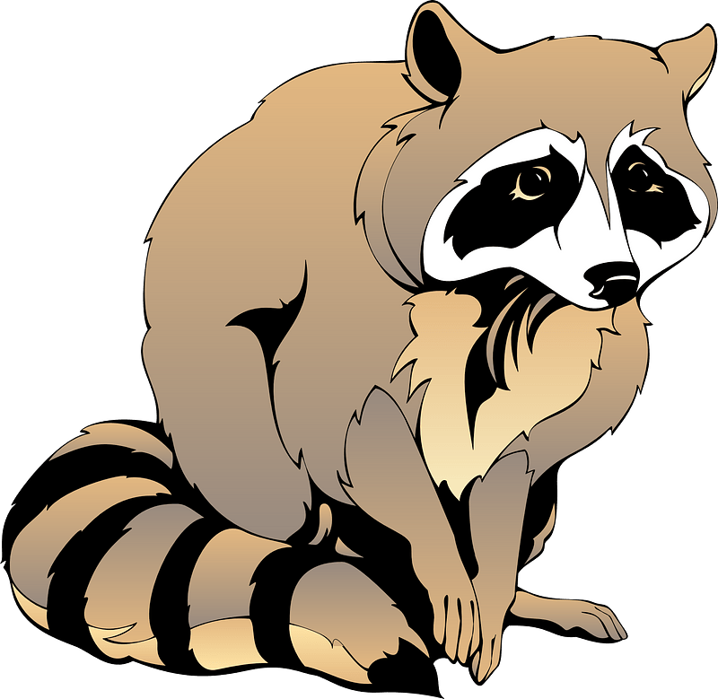 Raccoon clipart