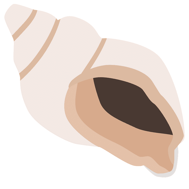 Spiral shell emoji clipart. Free download transparent .PNG Creazilla