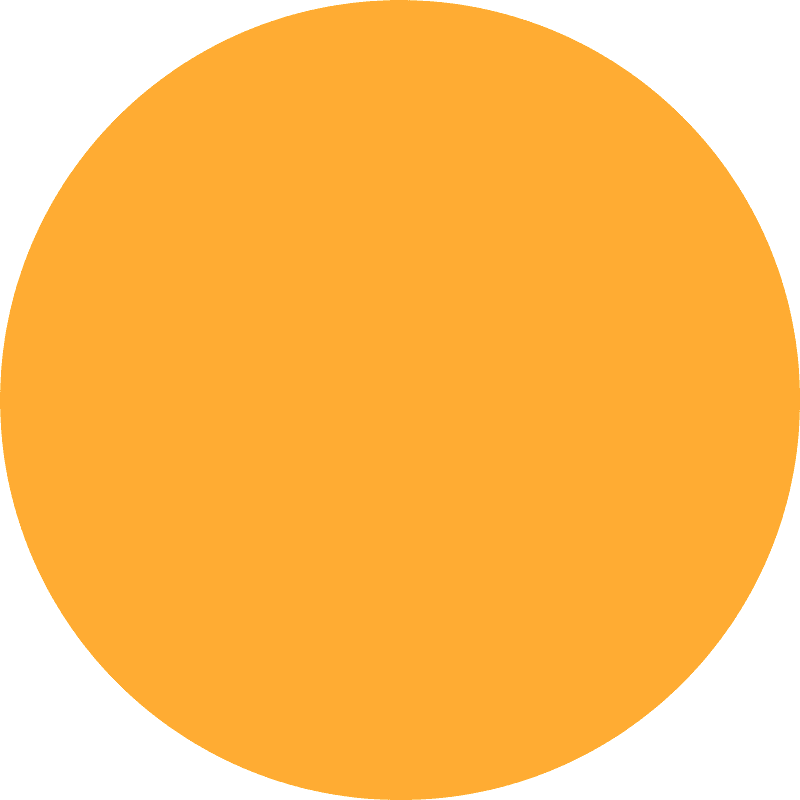 Orange Circle Emoji