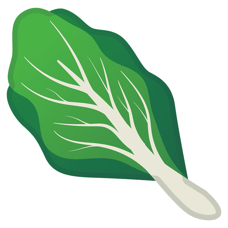 Leafy green emoji clipart. Free download transparent .PNG Creazilla