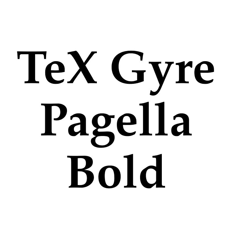 TeX Gyre Pagella Bold font Free fonts on Creazilla Creazilla