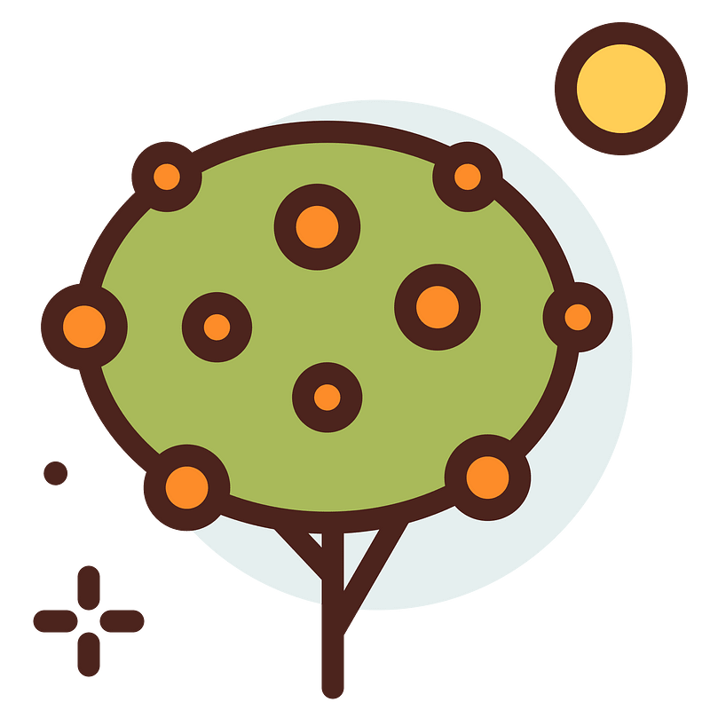 Orangetree icon. Free download transparent .PNG Creazilla