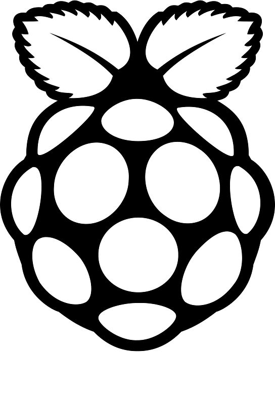 Raspberrypi icon. Free download transparent .PNG | Creazilla