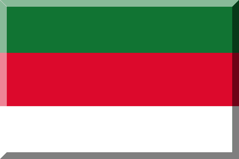 Palla Pallanuoto Mega Sport Misura 5 - Design Rosso, Bianco E Verde, Presa Extra Per Uomo - Foto 10