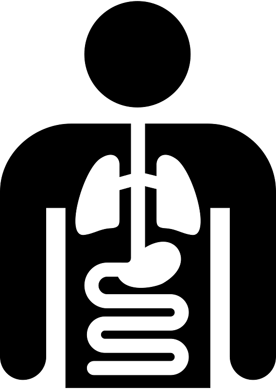 Internal Medicine The Noun Project icon. Free download transparent