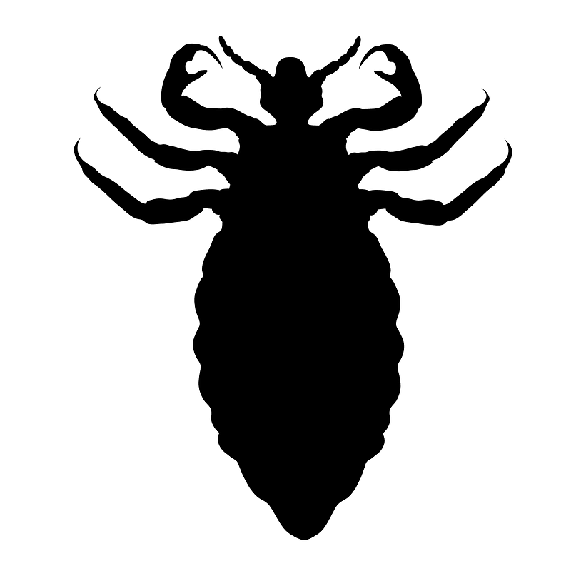 Phthiraptera icon icon. Free download transparent .PNG Creazilla