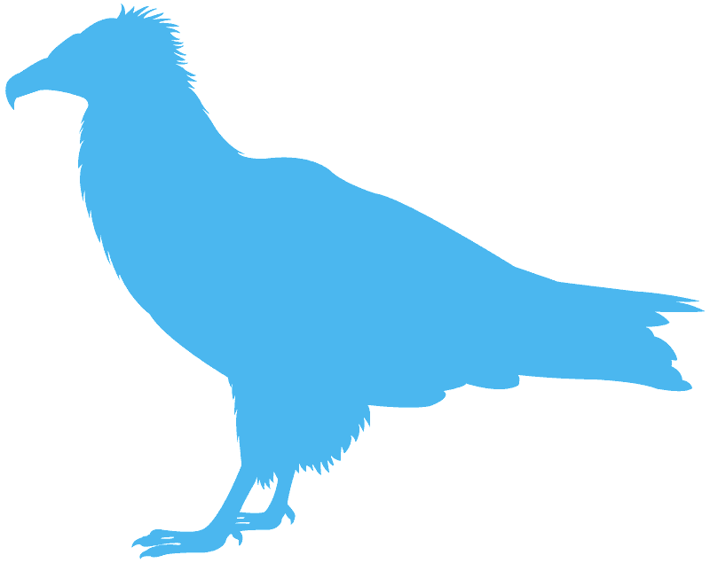 ハゲワシ 無料ベクトルシルエット Creazilla