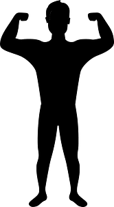 Bodybuilder - Free vector silhouettes on creazilla.com