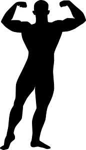 Bodybuilder - Free vector silhouettes on creazilla.com