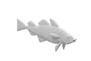 Cod Fish - Free 3d model on creazilla.com