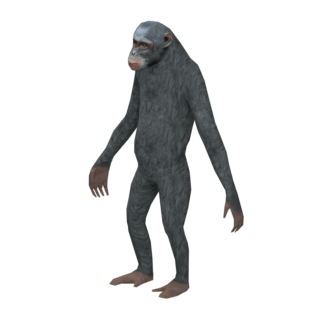 monkey-free-3d-model-on-creazilla