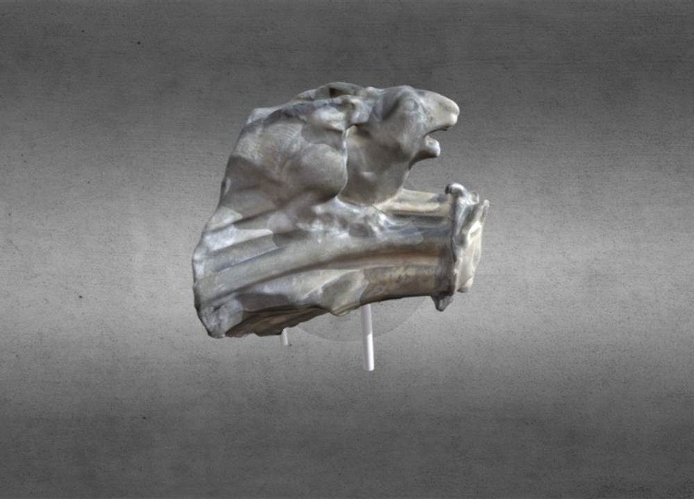 Rabbit grotesque - Free 3d model on creazilla.com