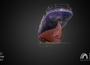 SY Carola Free 3d model on