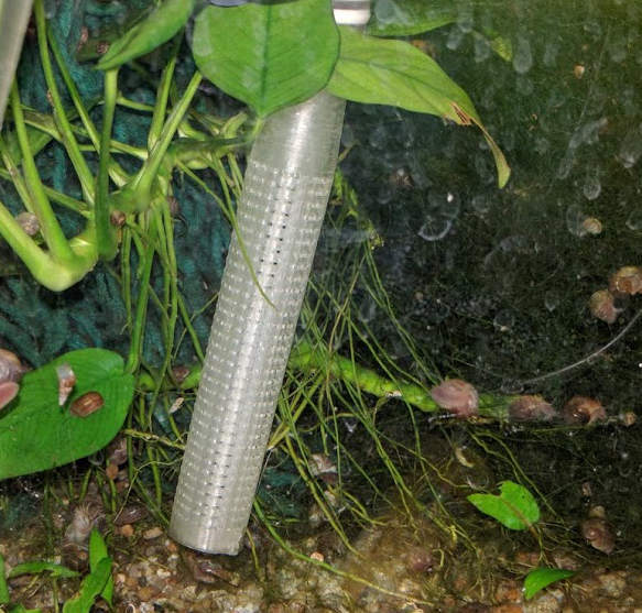 Aquarium Intake Filter for 13mm Siphon Tubing 3d model. Free download. Creazilla