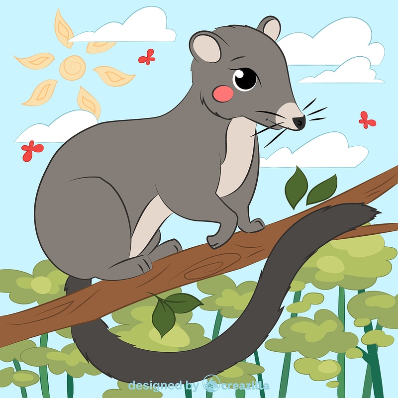 Possum vector