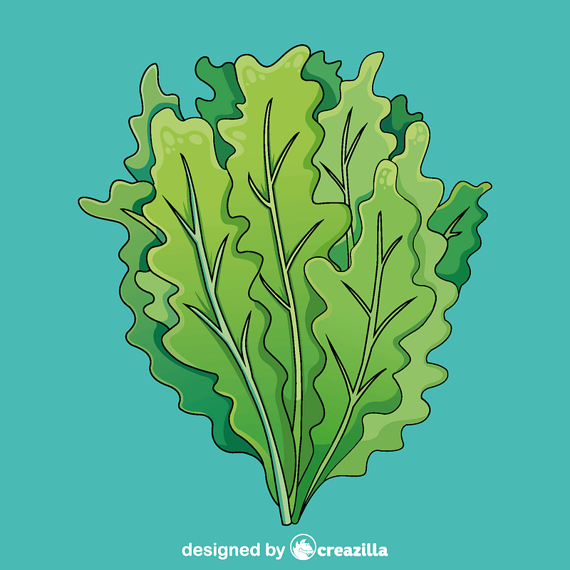 Salad vector