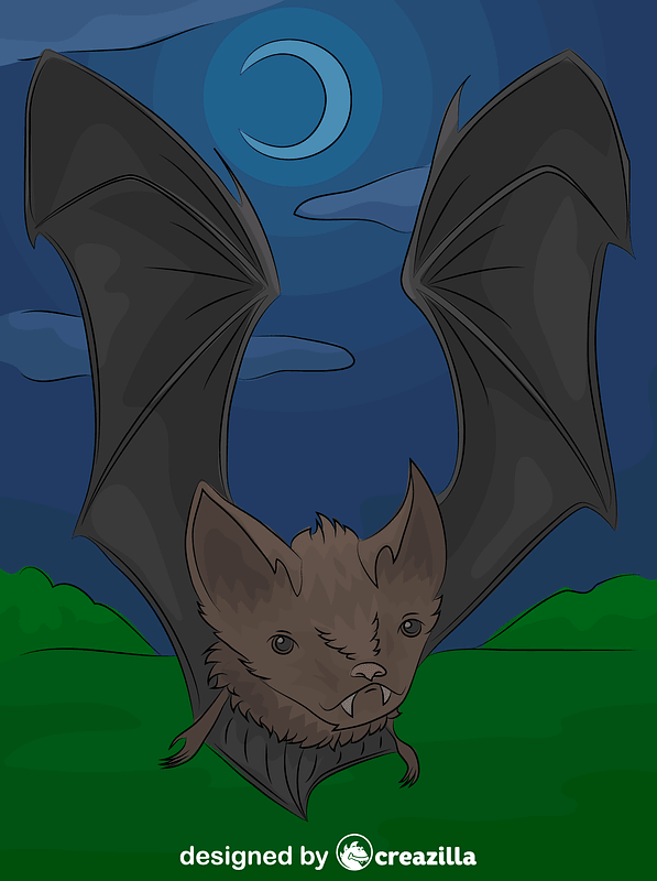 Petite chauve-souris brune vecteur