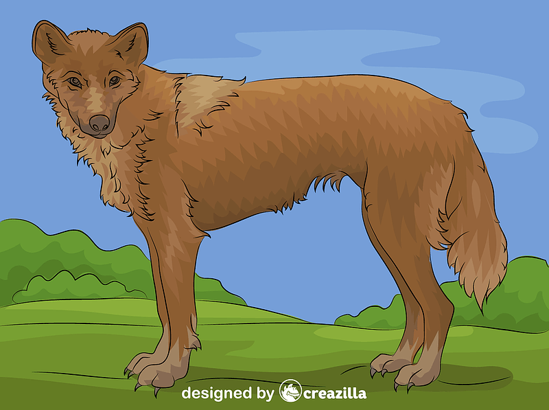 Vector de Dingo