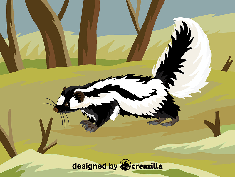 Grafika wektorowa: Striped polecat