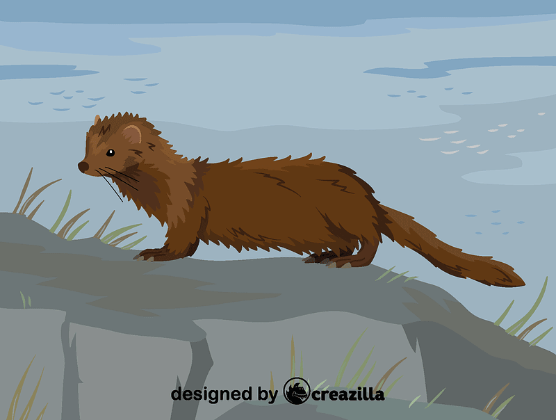 Grafika wektorowa: Sea mink