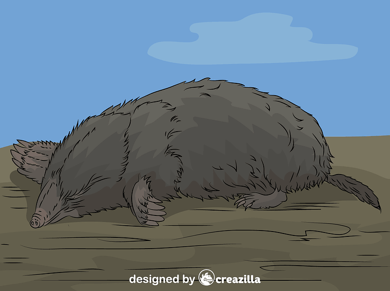 Mole vector