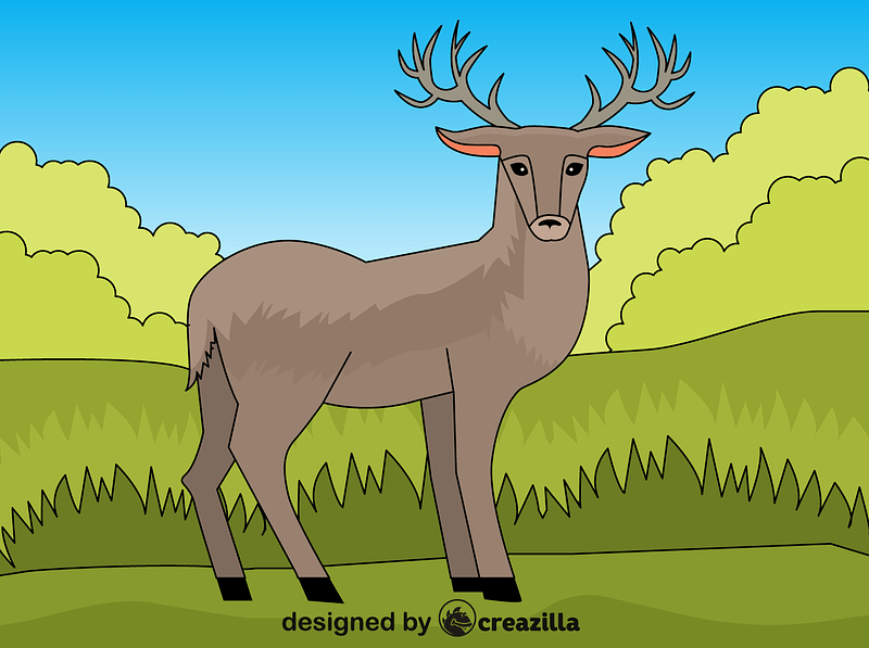 Deer vector