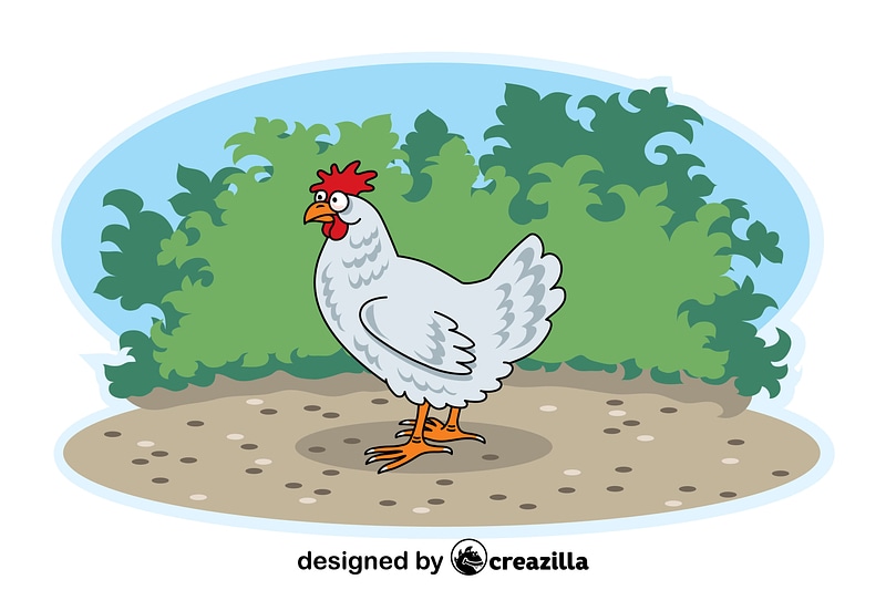 Chicken vector