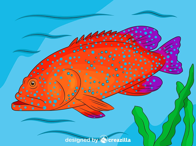 Blue Spotted Grouper vector