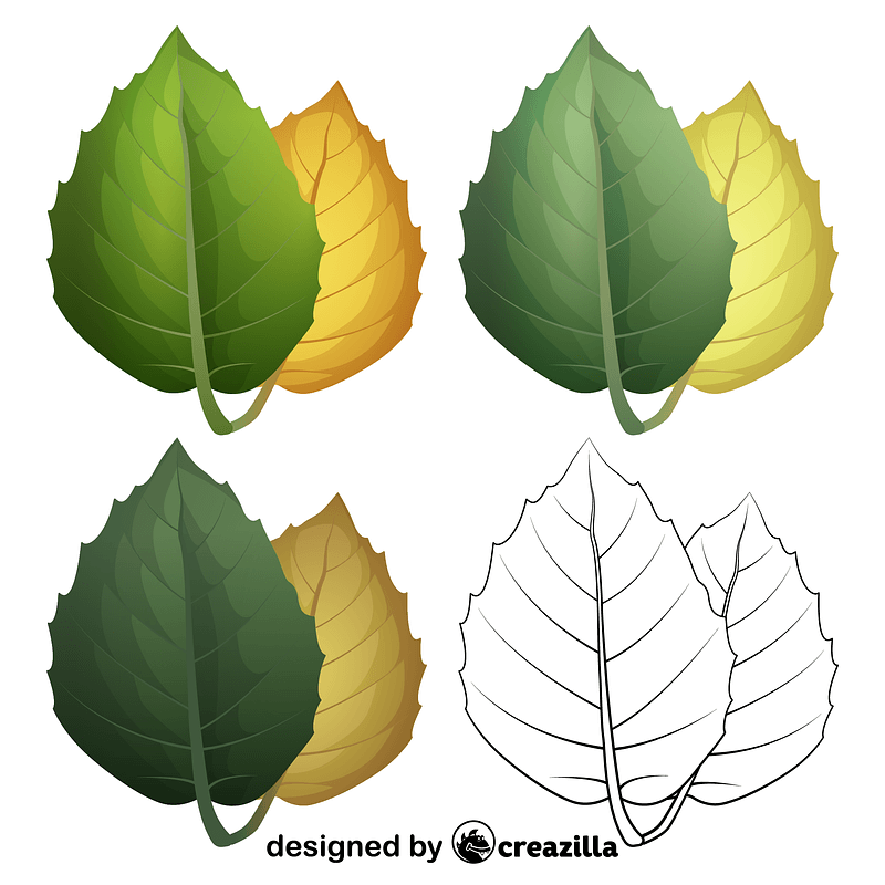 Golden oak leaves vector