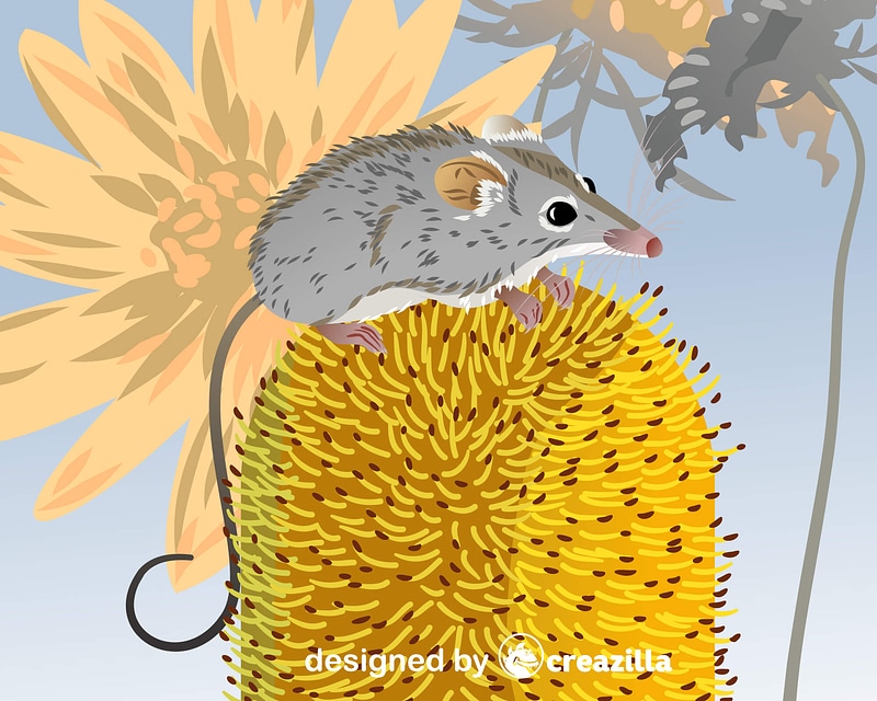 Vector de Honey Possum