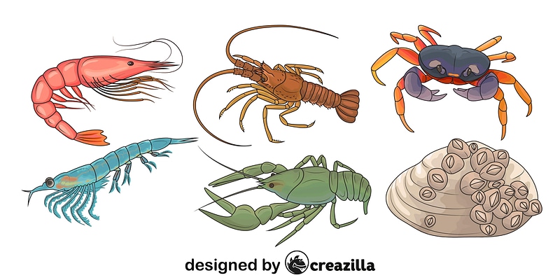 Set of Crustacean Animals vector