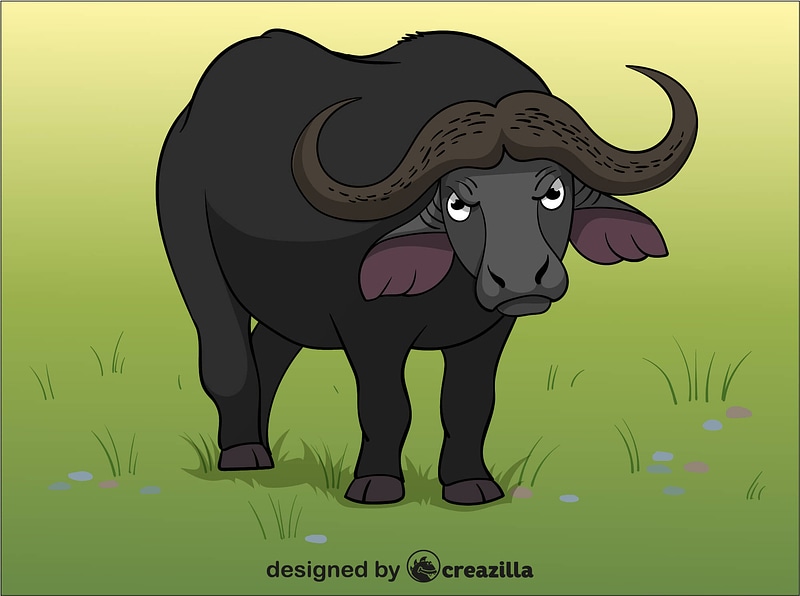 Buffalo vector