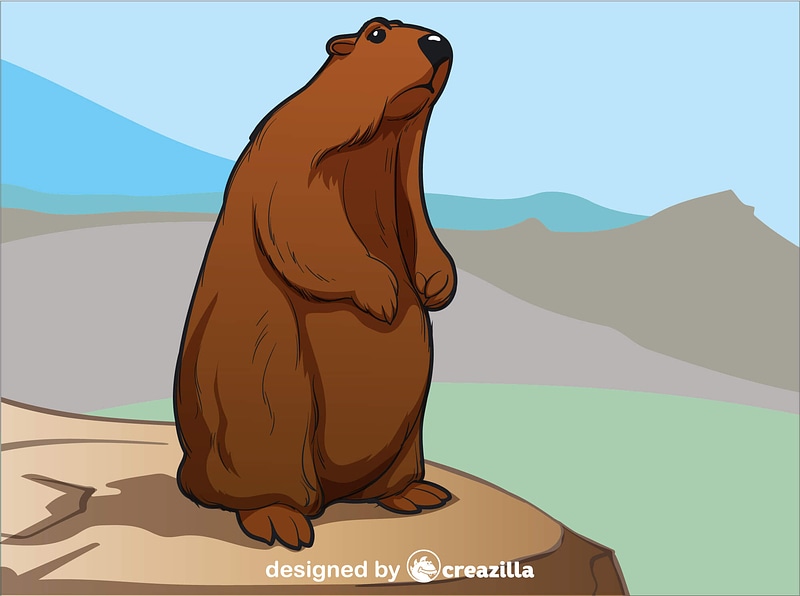 Groundhog vector