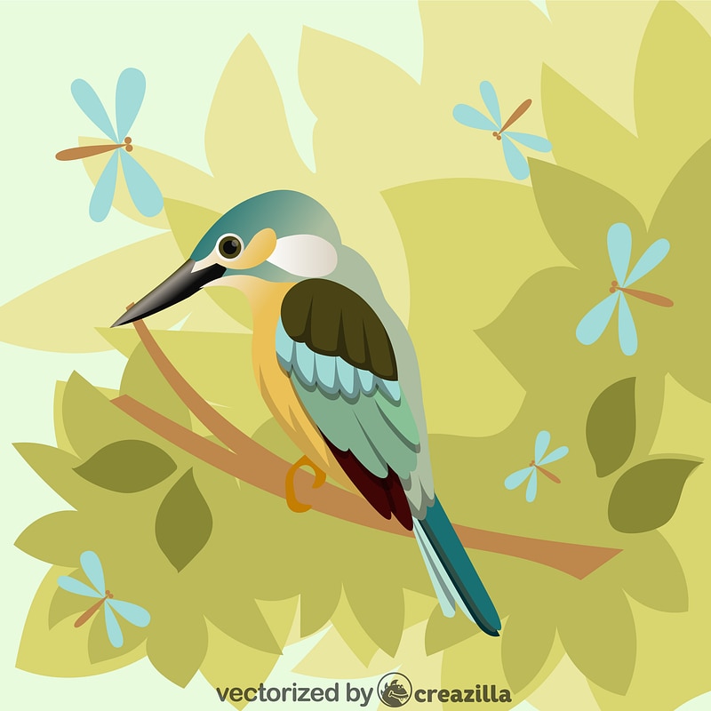 Kingfisher bird vector