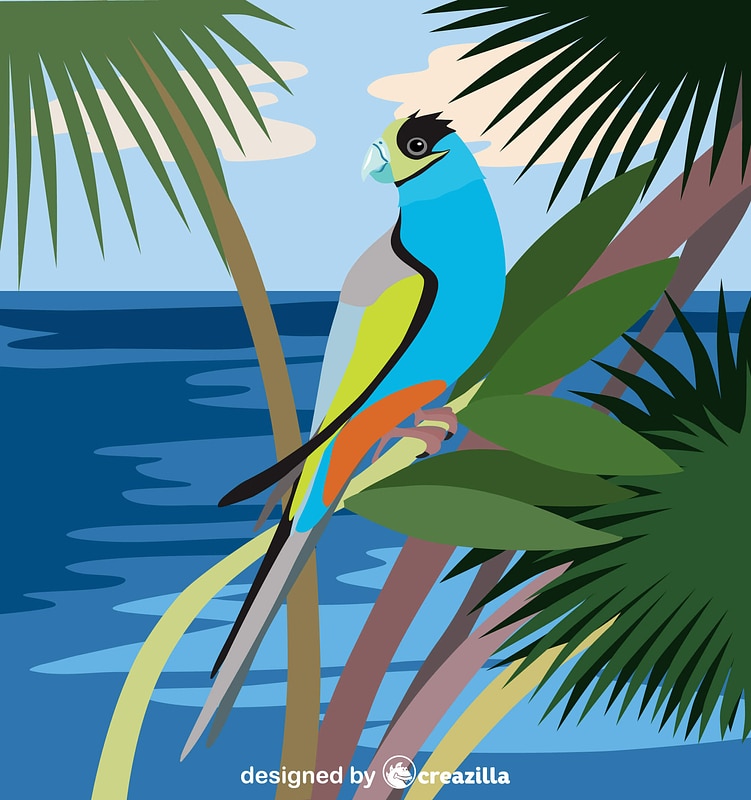 Parrot vector