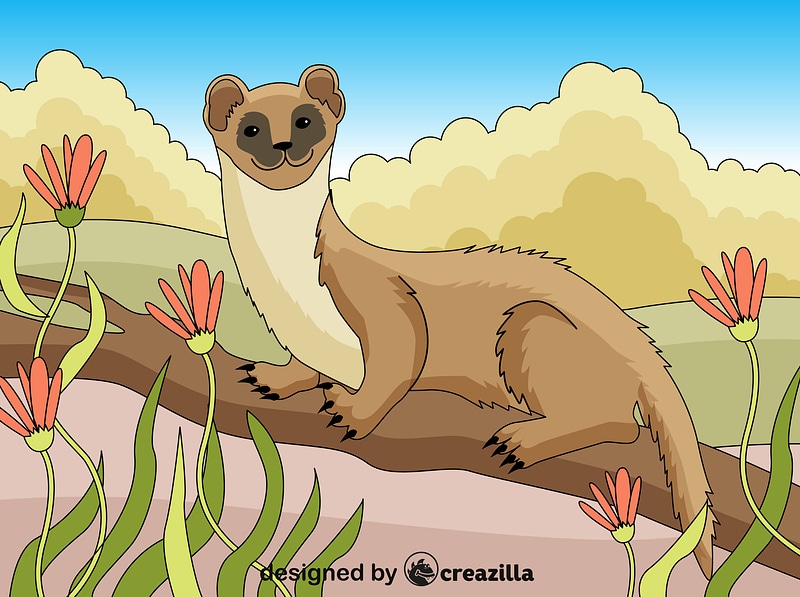 Grafika wektorowa: Weasel