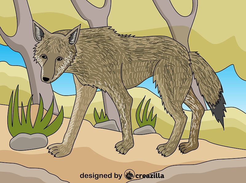 Wolf vector