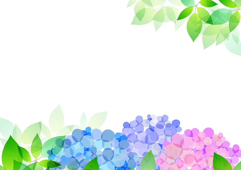 Hydrangea Green Leaves vector