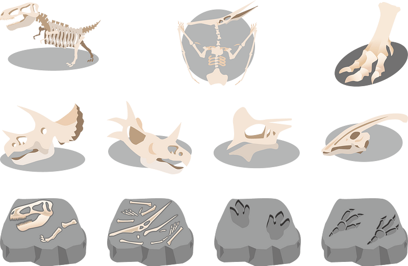 Vector de Dinosaur Fossil