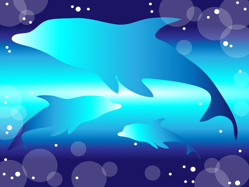 Dolphins Background vector. Free download. | Creazilla