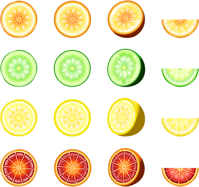 Citrus Fruits vector. Free download. Creazilla