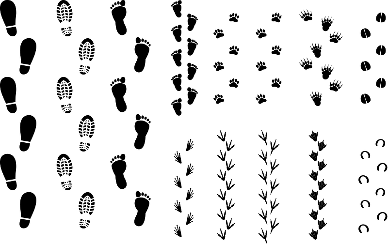 Footprints Footmarks vector. Free download. Creazilla