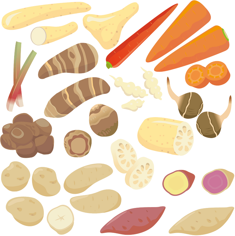 Vegetable Food vector